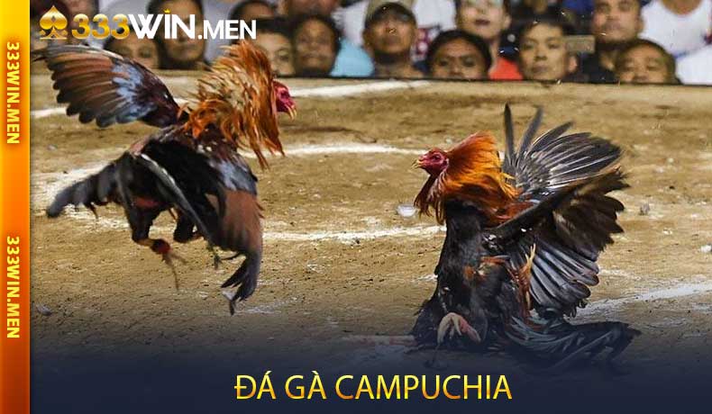 Đá Gà Campuchia