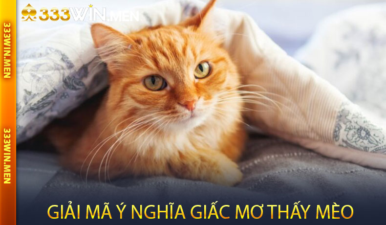Giải Mã Ý Nghĩa Giấc Mơ Thấy Mèo