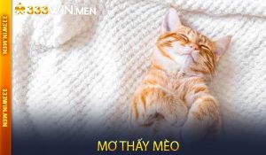 Mơ thấy mèo